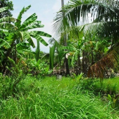 Egor Ivanov, 07.10, Санкт-Петербург