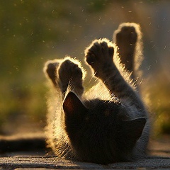 Екатерина Половникова, 03.03.1988, Саров