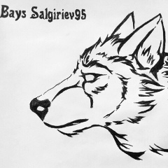 Байсангур Салгириев, 17.08.1992, Грозный