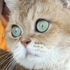 Ольга Ивкина, 17.04.1978, Санкт-Петербург