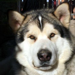 Андрей Читаков, 05.05, Ряжск