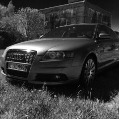 Николай Куценко, 17.05.1988, Hannover