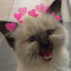 Ekaterina Arbatskaya