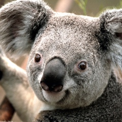 Алина Иванова, 30.10.1964, Санкт-Петербург