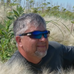 Николай Романов, 23.06, Санкт-Петербург