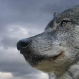 Кенжитай Арешев, 07.05.1998, Самара