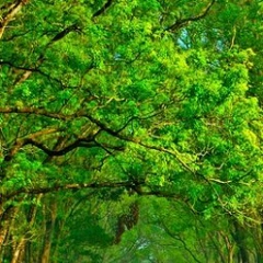 Maga Haidarov, 12.03.1990, Ростов-на-Дону