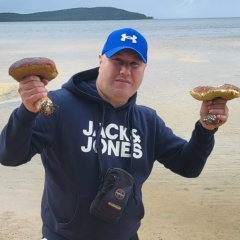 Александр Велескевич, Ивангород