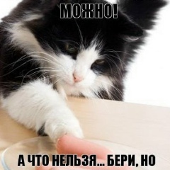 Жанна Никитина, 04.04