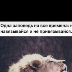 Масхуд Абдулхажиев, Abu Dhabi