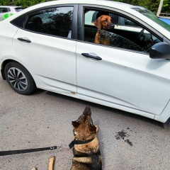 Кирилл Велес, 19.05.1990, Санкт-Петербург