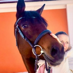 Елена Азарова, 11.11, Санкт-Петербург