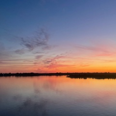 Екатерина Тареева, 11.12, Санкт-Петербург