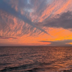 Maxim Svirkunov, 04.06