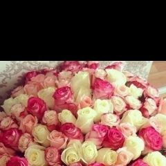 Анна Петрова, 19.06, Якутск