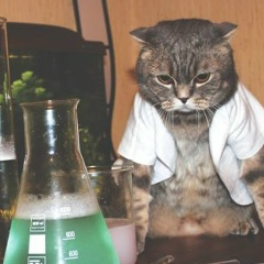 Алексей Токтонов, 25.05, Москва