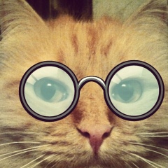 Юлия Никашина, 29.09, Москва