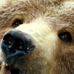 Миша Бешенцев, 14.02.1983, Москва