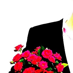 Maksat Bekzhigituly, 24.11, Шымкент