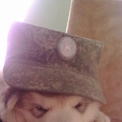 Валера Кожевников, Самара