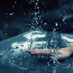 Лана Каневская, 22.07