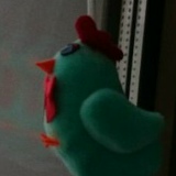 Петя Курочкин, 01.01, Новосибирск