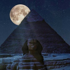 Mohamed Gamal, 14.06.1995, Sharm el-Sheikh