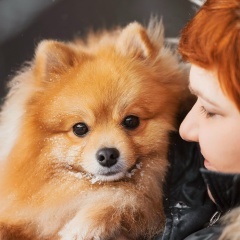 Анна Рыжова, Москва