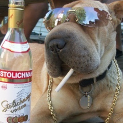 Александр Николаев, 02.05.1978, Москва