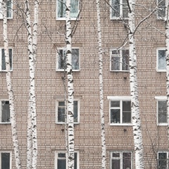 Алина Фролкина, Белоярский