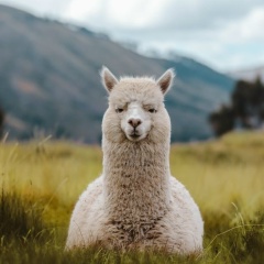 Дарья Максимова, 24.08, Москва