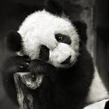 Ярослав Кривцов, 02.12.1987