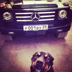 Никита Швецов, 02.07, Красноярск