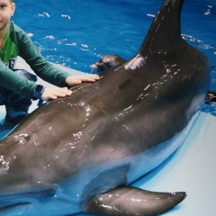 Анна Евстратовская, 21.02, Екатеринбург