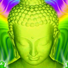 Ренат Садеков, 07.01.1984, Москва