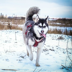 Даня Юдин, 22.07.1984, Санкт-Петербург