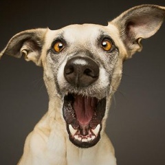 Николай Богданович, 10.06.1991, Сатпаев