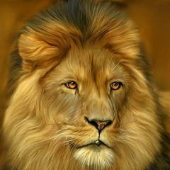 Мусаев Мейрамбек, 08.03.1990, Кызылорда