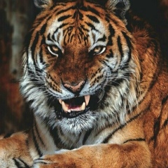 Виталий Парфенов, 09.02.1973, Одесса