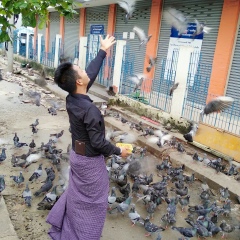 Maung Thi, 03.01.1991
