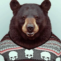 Василий Андреев, Ульяновск
