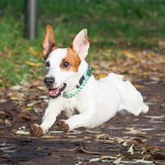 Roman Zinatulin, 17.01, Санкт-Петербург