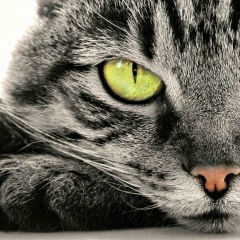 Елена Мишурина, 07.01, Санкт-Петербург