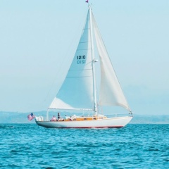 Александр Петрович, 28.06.1975, Москва