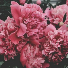 Anara Urazbaeva, 11.07.1994, Семей