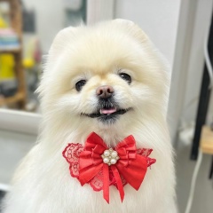 Mariam Mania, 11.06.1950