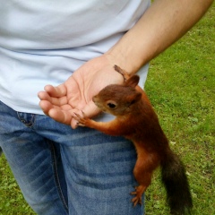 Максим Строгалин, 12.09.1981, Москва