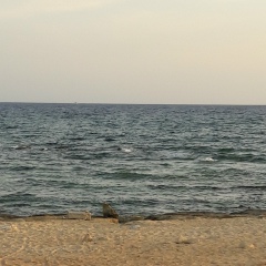 Татьяна Захарова, Балаково