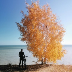 Алексей Францев, Новосибирск