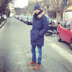 Vanea Palancica, Roma